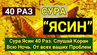 Сура Ясин 40 раз, سورة يس Красивый Коран, всю ночь, от всех ваших проблем