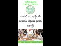 ⭐ ఇంటర్ హాల్ టికెట్లు వాట్సప్ లోకి వచ్చేస్తున్నాయి! | తల్లిదండ్రులకు ఇంత పెద్ద సౌలభ్యం?