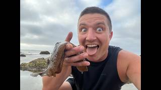 Santa Barbara: Tide Pools, Santa Ynez River, and Gaviota Peak and Hot Springs