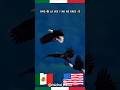 El poder del águila real mexicana dejó a todos sin palabras 🇲🇽#AguilaReal #OrgulloMexicano #Viral 🦅