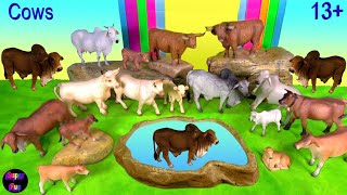 Cow Figurines Cows Cattle Farm Animals गाय গাভী 13+