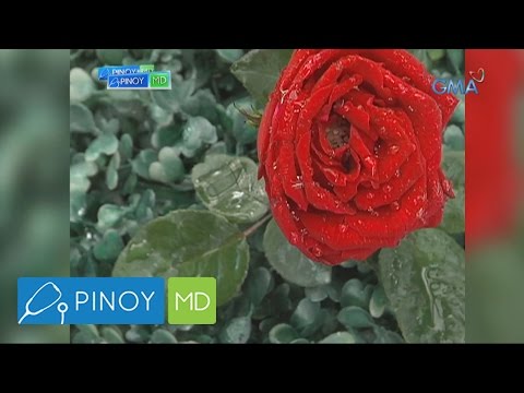 Video: 3 Mga Paraan upang Makitungo sa Mga Gnat Bites (Bite Flies)