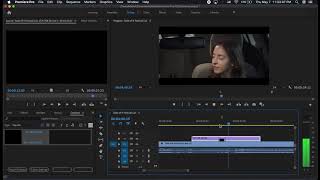 Captions in Premiere w Closed Subs