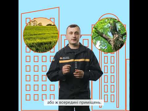 Навчаємось мінної безпеки: пес Патрон про касетні боєприпаси!