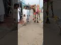 اونٹ کی قربانی دینے سے قبل ویڈیو 1