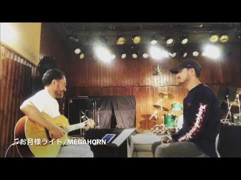 MEGAHORN〈Acoustic Guitar〉