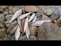 Поездка на р. Уба \ Рыбалка на Хариуса \ Видео зарисовки