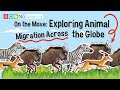 On the Move: Exploring Animal Migration Across the Globe