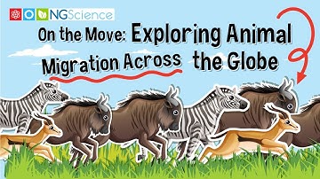 On the Move: Exploring Animal Migration Across the Globe