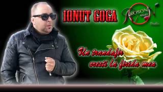 IONUT GOGA - Un trandafir cresti la firida mea 2016 ( COVER ) Studio Roson Music