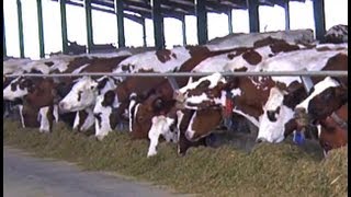SA dairy farms in crisis