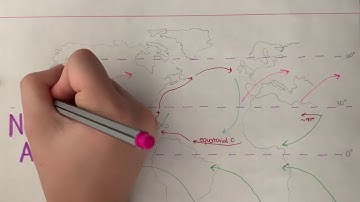 Gulf Stream vs Canary C.