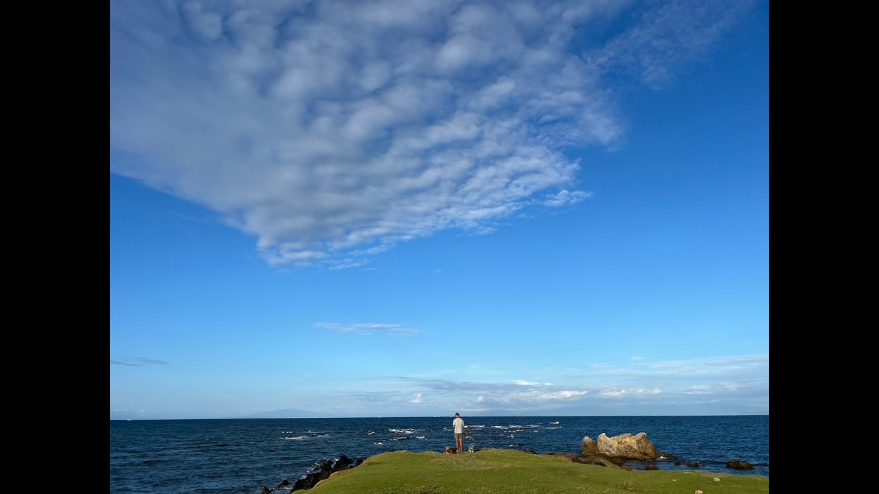 葉山一色ボートから の一色海岸ライブカメラ
