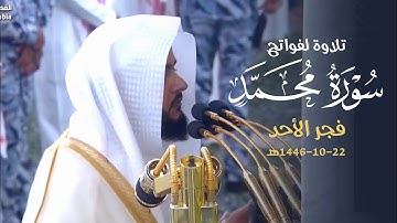 إشراقة الفجر من المسجد النبوي للشيخ د. عبدالله القرافي | فجر 22 شوال 1446 هـ  ماتيسر من سورة محمد