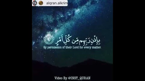 القارئ .محمد النقيب