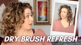 DRY BRUSH REFRESH TUTORIAL: Restore Volume &amp; Definition to Stretched Out Curls | Ft. Cake Beauty