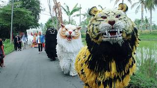 Kirab Can Macanan Ba Lakek Hamdians 🦁 di Tangsil Wetan