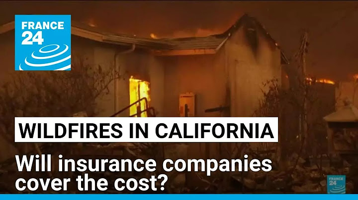 Wildfires in California: Will insurance companies cover the cost? • FRANCE 24 English
