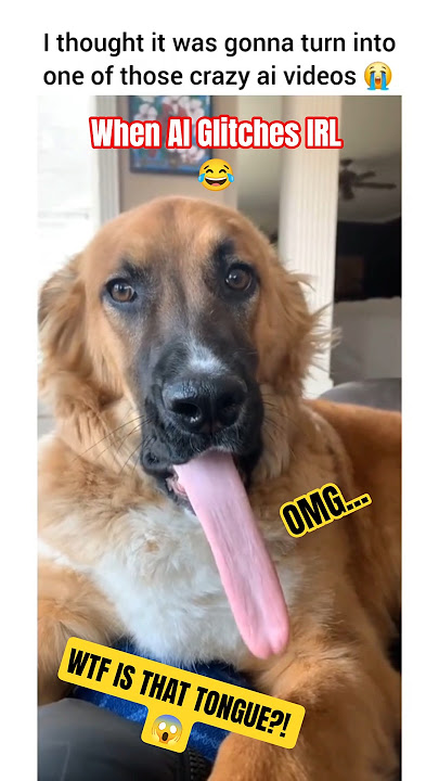 Dogs vs. Everything: Malinois Mayhem & Hilarious Reactions! 🐶😂 #dog #dogs #dogfails