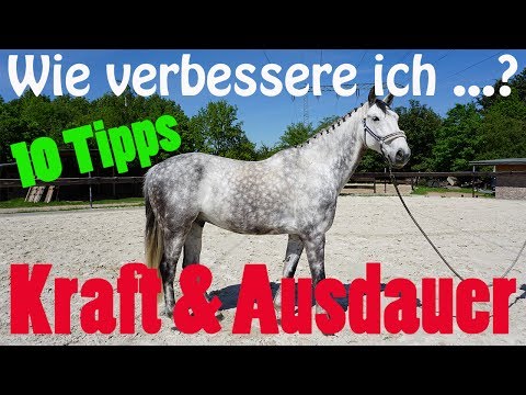 Video: Wie Trainiere Ich Ein Pferd