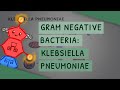 Gram Negative Bacteria: Klebsiella pneumoniae