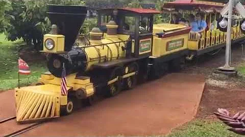 Dole Plantation Pineapple Express Train Tour Wahiawa Hawaii