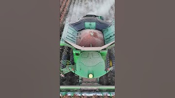 Efficient Sorghum Harvesting with Modern Machinery 🚜