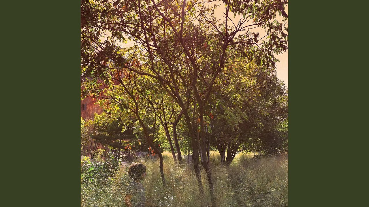 Watch Dry on YouTube Watch Dry on YouTube