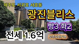 [서귀포 전세] 1.6억 도시형주택! 한라산 조망 가능한 방3 화2 전세 ｜광진블리스 ｜제주도 전세추천 | 전세1.6
