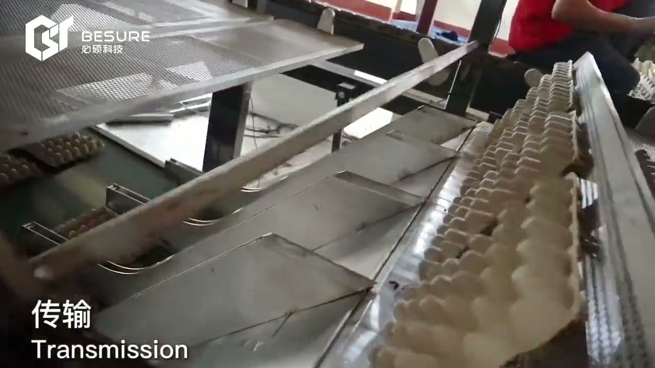 Besure fully automatic rotary pulp molding egg tray machine