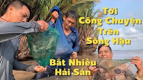 Tới Công Chuyện Nửa Rồi Ra Sông Hậu Mò Trúng Mánh Tôm Càng . Cá Ngát . Cua Biển | Cldv #932