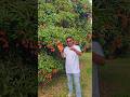 টাকা থাকলেই শান্তি হয়নাকিন্তু সুখ ত হয়...#lonliness #sukh #peach #শান্তি