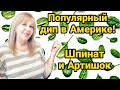 НОВЫЙ ВКУС: ДИП СО ШПИНАТОМ И АРТИШОК. РЕЦЕПТ ЗАКУСКИ ПО АМЕРИКАНСКИ. УДИВИТЕ ГОСТЕЙ!