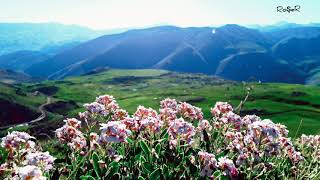 Roşer_ Gabar Li Benda Weye