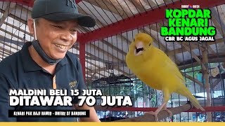 EDUN PISAN!! GOPRO Kenari MALDINI Pak Haji 70 Juta | Kopdar Kenari Bandung
