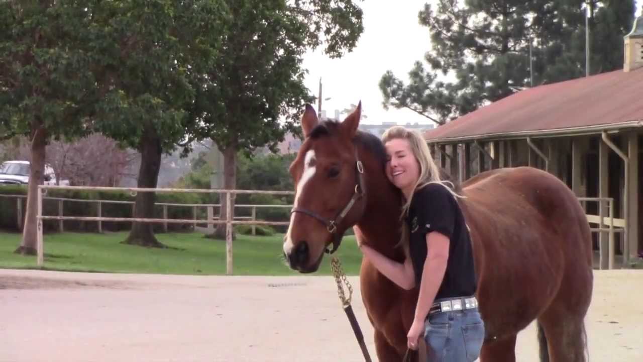 Cal Poly Equine Unit