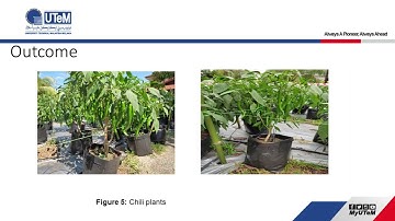 IoT Based Fertigation System