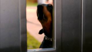 CSI: Miami - Preview: Dead Ringer