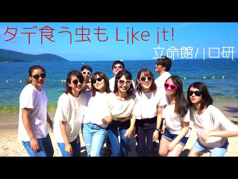 【立命館ハロ研】タデ食う虫も Like it!