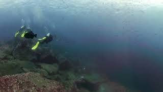 Darwin Diving 360 5