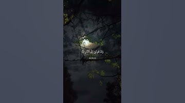 وَيَا قَوْمِ مَا لِي أَدْعُوكُمْ | سورة غافر | القاري:ياسر الدوسري #قران_كريم #فلسطين #غزة #اكسبلور