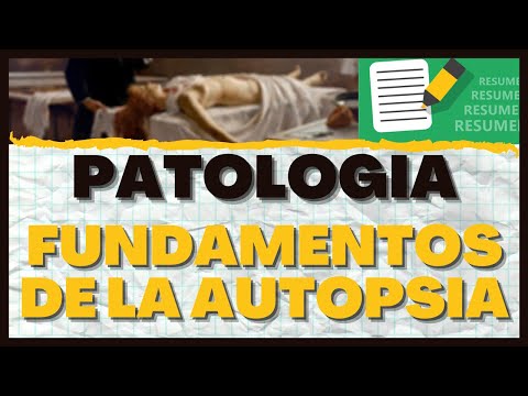 Vídeo: Patólogo - Profesión, Autopsia, Conclusión