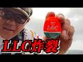 【エイジアLLC】糸ピンバチバチの体感ショック!全部釣ります!