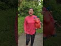 suara kambing kecil #funny #shorts