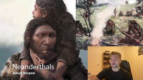 Neanderthal History "Through the Perspective of Tools"