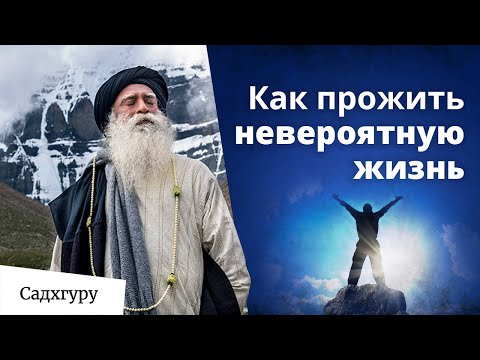 Почему Садхгуру не берет выходных?