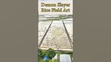 No AI🚫 - 🇯🇵 Tanjiro Rice Field Art Behind the Scenes Demon Slayer #demonslayer #鬼滅の刃
