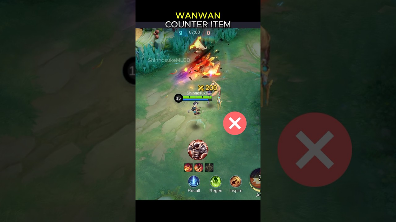 Wanwan Counter Item🛡️🔥 