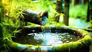 The Soothing Sound Of Water Calms The Mind 🌿 Relaxing Music to Restore the Nervous System