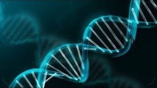 ГМО. Наука с геном страха.Завтра не умрет никогда.Документальный фильм (2014) . . ГМО. Наука с геном страха.Завтра не умрет никогда.Документальный фильм (2014) . .